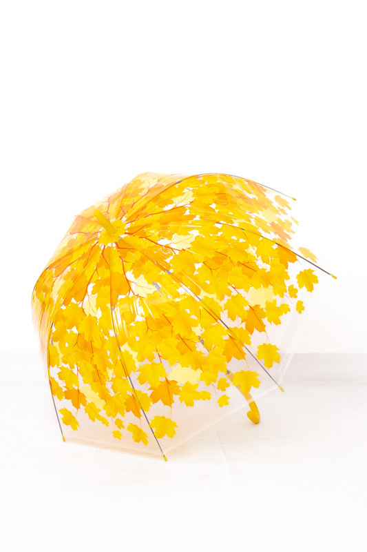 Парасолька (тростина)